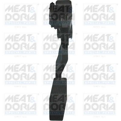 Accelerator Pedal Unit
